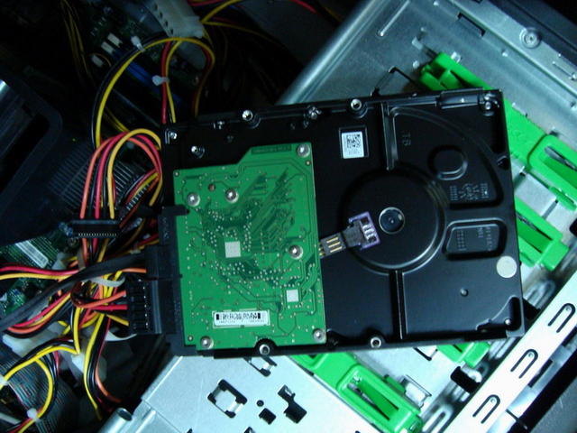 DSC07800