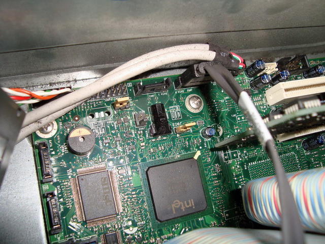 DSC07803