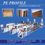 2010-08 PE Profile