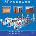 PE Profile--tw